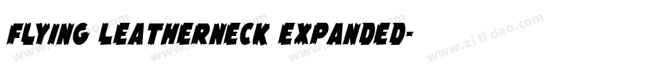 Flying Leatherneck Expanded字体转换